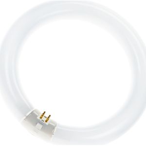 T9 Circline - Warm Wit - 22W - G10Q Fitting - Energiezuinige Verlichting