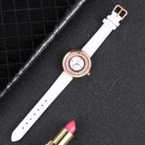CAGARNY 6878 Water Resistant Fashion Women Quartz Wrist Watch with Leather Band(White+Gold)