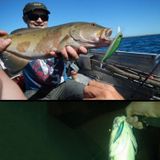 HENGJIA 26 PCS Minnow Fishing Lure Set 4 Models Fishing Tackle Plastic Hard Bait