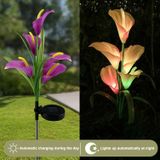 3PCS Simulated Calla Lily Flower 5 Heads Solar Powered Outdoor IP65 Waterproof LED Decorative Lawn Lamp  Colorful Light(Purple)