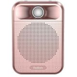 Rolton K700 Bluetooth Dual-speaker Audio Speaker Megafoon Voice Amplifier(Rose Gold)