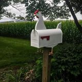 Unieke brievenbus voor paardenboerderij Landelijke brievenbus met ijzeren pilaar