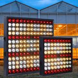 Grote 169 LED's Quantum Plant Growth Lighting Outdoor Full Spectrum Planting Lamp (EU-stekker)