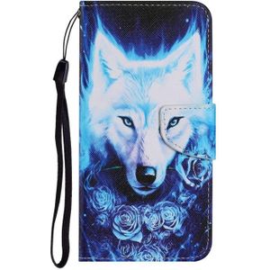 For Samsung Galaxy Note 20 Coloured Drawing Pattern Horizontal Flip PU Leather Case with Holder & Card Slots & Wallet & Lanyard(Rose Wolf)