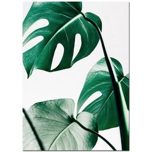 Plant blad Engelse brief art posters prints kunst muur Foto's zonder frame  grootte: 15  20cm (groen blad)