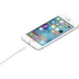 Silver Plating USB Sync Data / Charging Cable for iPhone 6 & 6 Plus  iPhone 5 & 5S & 5C  iPad Air  Length: 2m(White)