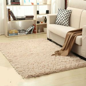 Shaggy Carpet for Living Room Home Warm Plush Floor Rugs fluffy Mats Kids Room Faux Fur Area Rug  Size:80x200cm(Beige)