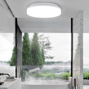 LED Ceiling Lamp Waterproof Moisture-Proof Dustproof Supply Light Bathroom Balcony Lamp  Power source: 280mm 24W(Round White Light)