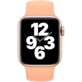 Voor Apple Watch Series 7 45 mm / 6 & SE & 5 & 4 44mm / 3 & 2 & 1 42mm Solid Color Elastische Siliconen Vervanging Polsriem Horlogeband  Grootte: M 143mm (Cantaloupe)