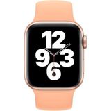 Voor Apple Watch Series 7 45mm / 6 & SE & 5 & 4 44 MM / 3 & 2 & 1 42mm Solid Color Elastische Siliconen Vervanging Polsriem Horlogeband  Afmeting: S 130mm (Cantaloupe)