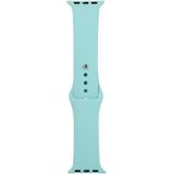 For Apple Watch Series 6 & SE & 5 & 4 40mm / 3 & 2 & 1 38mm Silicone Watch Replacement Strap  Long Section (Men)(Ice Blue)