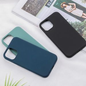 For iPhone 12 mini ROCK Liquid Silicone Shockproof Protective Case(Green)