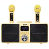 SDRD SD309 Wireless Microphone Bluetooth Audio All-In-One Machine(Golden)