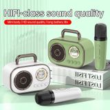 HiFi Bluetooth 5.3 luidsprekerondersteuning FM  met 2 stuks microfoon