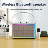 Leer Kleurrijk Lichteffect Karaoke Audio Retro Outdoor Bluetooth-luidspreker  Stijl: Enkele luidspreker