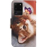 Voor Samsung Galaxy S20 Ultra Geschilderd Patroon Horizontale Flip Lederen Case met Houder & Card Slot & Portemonnee (Butterfly Cat)