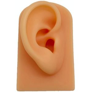 TX-S90 simulatie oor siliconen model voor oefenweergave  stijl: rechter oor