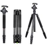 BEXIN W284C H36 Carbon Fiber Professional Photo Tripod for DSLR Camera