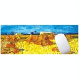300x800x4mm Locked Am002 Large Oil Painting Desk Rubber Mouse Pad(Room)