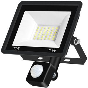 30W PIR LED Spotlight Outdoor Project Light Waterproof Garden Energy-Saving Lighting Floodlight  Style:(Cold White Light)