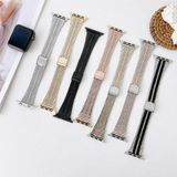 Double Lines Steel Replacement Strap Watchband For Apple Watch Series 6 & SE & 5 & 4 44mm / 3 & 2 & 1 42mm(Silver)