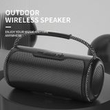 NewRixing NR2088 draadloze draagbare TWS Bluetooth-luidspreker