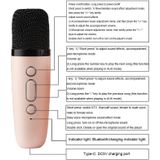 Draagbare RGB-verlichtingseffect Bluetooth-luidspreker Home Mini Karaoke Audio  stijl: dubbele microfoon + luidspreker