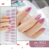 22 Fingers Shiny Onion Powder Starry Waterproof Nail Sticker(ZX-3021)