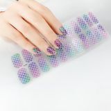 22 Fingers Shiny Onion Powder Starry Waterproof Nail Sticker(ZX-3021)