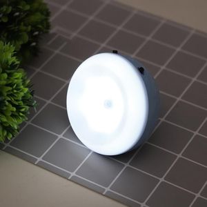 XYD-1001 Intelligent Human Body Induction + Light Sensor LED Night Light Desk Lamp Corridor Wall Lamp(Blue+White Light)