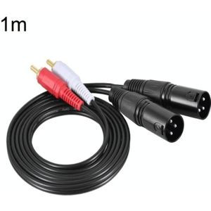 2RCA naar 2XLR-luidspreker Canon-kabel Audiobalanskabel  maat: 1 m (Dual Lotus naar Dual Canon Male)