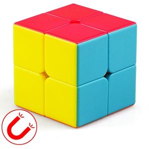 Moyu Mr. M-serie magnetische kubus twisty puzzel speelgoed twee lagen kubus puzzel speelgoed (kleur)