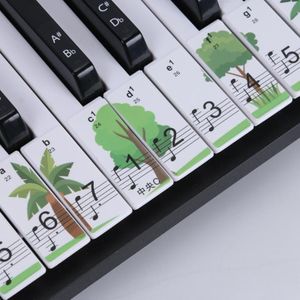 M52 88/76/61/54/49 KEYS PIANO KEYBOARD STICKERS