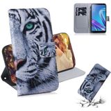 Tiger Pattern Coloured Drawing Horizontal Flip Leather Case for Asus Zenfone Max (M1) ZB555KL  with Holder & Card Slots & Wallet