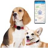 RF-V43 B-stijl IP67 waterdichte GPS + LBS + WiFi Pet Locator Pet Collar Tracking Device voor Noord-Amerika / Zuid-Amerika