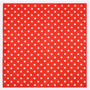 Spring Ladies Dots Pattern Silk ImitationSmall Scarf Square Scarf  Size:60 x 60cm(Red White Border)