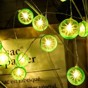 3m Lemon Slice USB Plug Romantic LED String Holiday Light  20 LEDs Teenage Style Warm Fairy Decorative Lamp for Christmas  Wedding  Bedroom (Green)