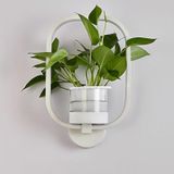 18W Warm Light Plant LED Wall Lamp Modern Minimalist Interior Balcony Wall Lamp Without Plants(3029 Black Box)