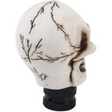 Universal Skull Head Shape ABS Manual or Automatic Gear Shift Knob  with Three Rubber Covers Fit for All Car(White)