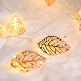 3m Rose Gold Leaf USB Plug Romantic LED String Holiday Light  20 LEDs Teenage Style Warm Fairy Decorative Lamp for Christmas  Wedding  Bedroom (Warm White)