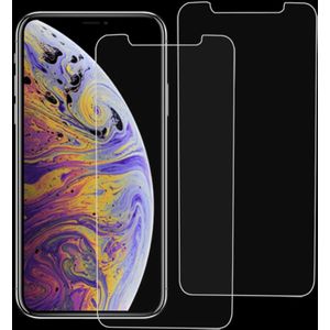 2 PCS 9H 2.5D Tempered Glass Film for iPhone XS / X