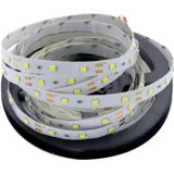 YWXLight 5M LED Strip Lights 2835SMD Non-Waterproof LED Strip DC 12V 300LED LED Light Strips (Cold White)