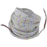 YWXLight 5M LED Strip Lights 2835SMD Non-Waterproof LED Strip DC 12V 300LED LED Light Strips (Cold White)