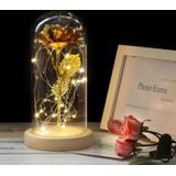 Simulation Roses Lights Glass Cover Decorations Crafts Valentines Day Gifts(Gold)