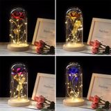 Simulation Roses Lights Glass Cover Decorations Crafts Valentines Day Gifts(Gold)