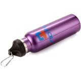 Aotu AT6646 Outdoor Travel Kettle Car Stainless Steel Thermos Bottle (Purple)