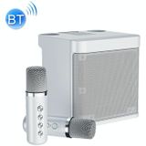 YS-203 Bluetooth Karaoke Luidspreker Draadloze Microfoon