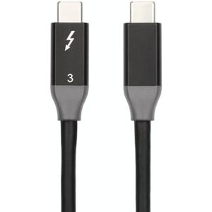 100W USB-C / TYPE-C 4.0 MANNELIJKE NAAR USB-C / Type-C 4.0 Mannelijke tweekleurige gegevenskabel voor de volledige functie voor Thunderbolt 3  Kabellengte: 0.3m