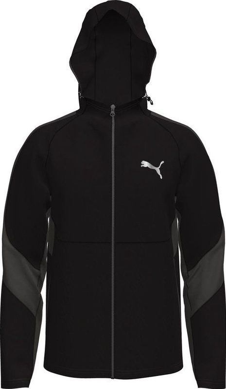 PUMA  Maat L EVOSTRIPE Full-Zip Hoodie DK Heren Trui - Puma Black