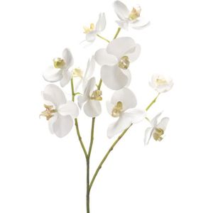 Emerald - Phalaenopsistak - Orchidee - Kunstbloem - 60 cm - Wit